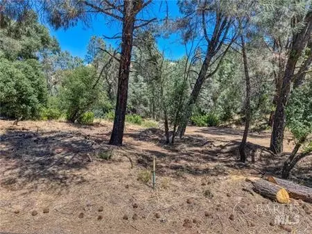 14142 Burns Valley Rd, Clearlake, CA 95422 photo 10
