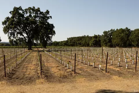 Other - 438 Crivelli Dr, Sonoma, CA 95476 photo 1 of 1