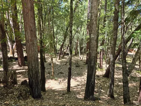 1694 Ponderosa Rd, Willits, CA 95490