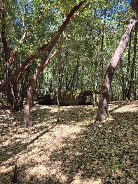 1686 Ponderosa Rd, Willits, CA 95490 photo 6