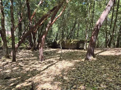 1686 Ponderosa Rd, Willits, CA 95490