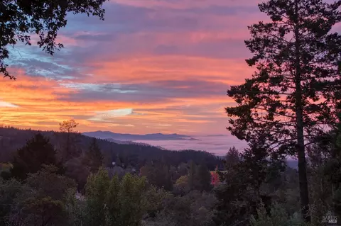 Other - 540 Viewridge Dr, Angwin, CA 94508 photo 9 of 9
