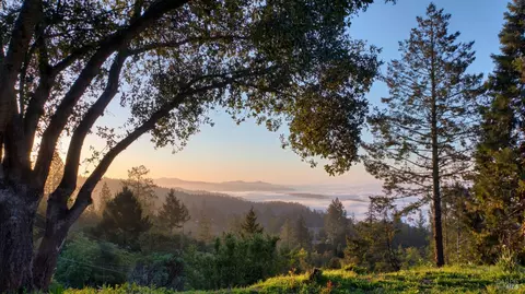 View/Area - 540 Viewridge Dr, Angwin, CA 94508 photo 5 of 5