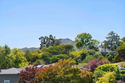 13 Ash Ave, Corte Madera, CA 94925 photo 40