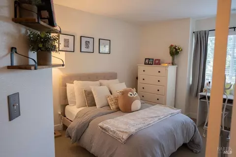 317 Judith Ct, Windsor, CA 95492 photo 21