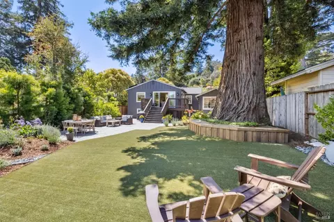 216 Laverne Ave, Mill Valley, CA 94941 photo 37