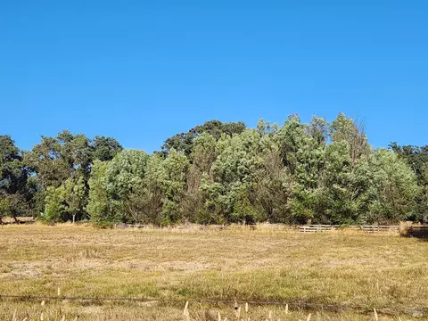 Other - 1751 Hearst Willits Rd, Willits, CA 95490 photo 8 of 10
