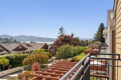 82 Neds Way, Tiburon, CA 94920 photo 39