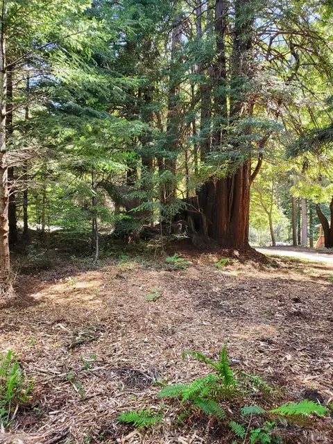 46750 Schooner Gulch Rd, Point Arena, CA 95468