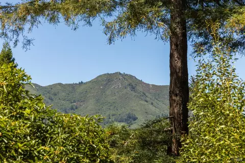 306 Edgewood Ave, Mill Valley, CA 94941 photo 51