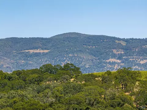 View/Area - 345 Ashlar Dr, Napa, CA 94558 photo 3 of 4
