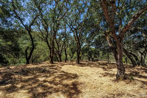 Exterior - 345 Ashlar Dr, Napa, CA 94558 photo 2 of 2