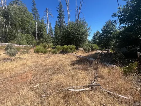 11495 Pine Smt, Cobb, CA 95426 photo 4
