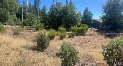 11495 Pine Smt, Cobb, CA 95426 photo 6