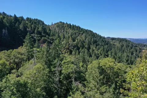 Other - 18500 Shafer Ranch Rd, Willits, CA 95490 photo 11 of 13