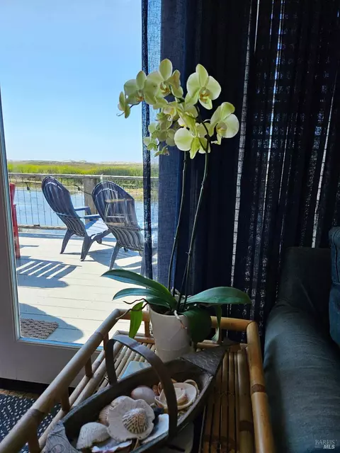 Other - 145 Bean Ave, Bodega Bay, CA 94923 photo 11 of 15