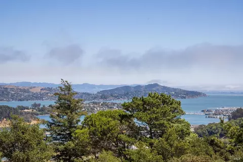 324 Sheffield Ave, Mill Valley, CA 94941 photo 37