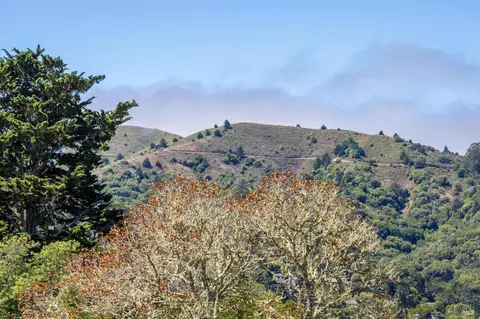 324 Sheffield Ave, Mill Valley, CA 94941 photo 17