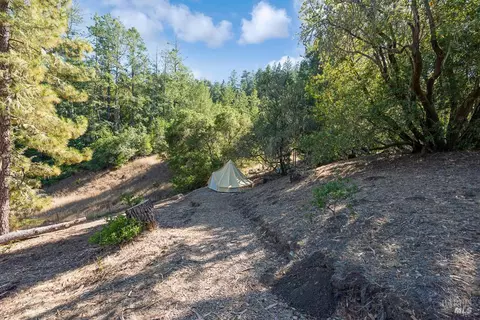 Exterior - 17197 Fitzpatrick Ln, Occidental, CA 95465 photo 16 of 38
