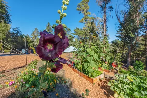 View/Area - 17197 Fitzpatrick Ln, Occidental, CA 95465 photo 2 of 5