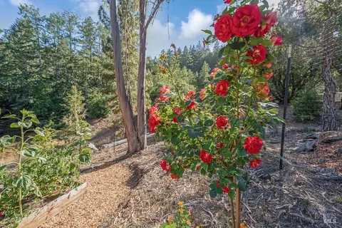 Exterior - 17197 Fitzpatrick Ln, Occidental, CA 95465 photo 21 of 38