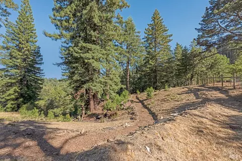Exterior - 17197 Fitzpatrick Ln, Occidental, CA 95465 photo 30 of 38