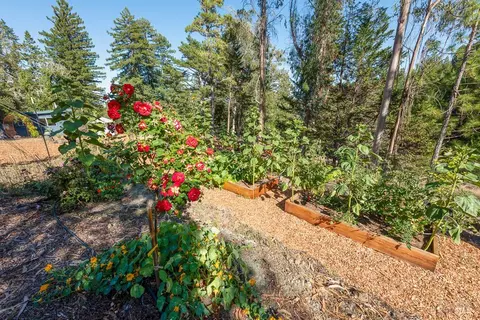 Exterior - 17197 Fitzpatrick Ln, Occidental, CA 95465 photo 20 of 38