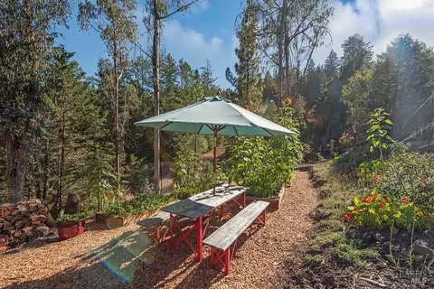 Exterior - 17197 Fitzpatrick Ln, Occidental, CA 95465 photo 19 of 38