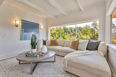 Living - 47 Coronet Ave, Mill Valley, CA 94941 photo 4 of 5