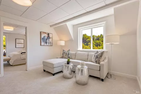 Other - 47 Coronet Ave, Mill Valley, CA 94941 photo 3 of 4