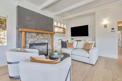 Living - 47 Coronet Ave, Mill Valley, CA 94941 photo 2 of 5