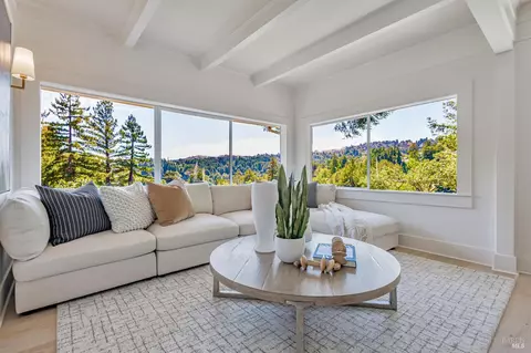 Living - 47 Coronet Ave, Mill Valley, CA 94941 photo 5 of 5