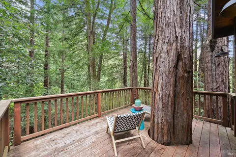 4 Wainwright Pl, Mill Valley, CA 94941 photo 21