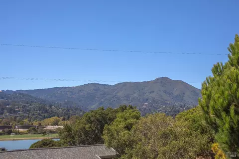 View/Area - 4 Eucalyptus Knoll St, Mill Valley, CA 94941 photo 3 of 10