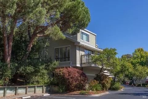 Other - 4 Eucalyptus Knoll St, Mill Valley, CA 94941 photo 15 of 19