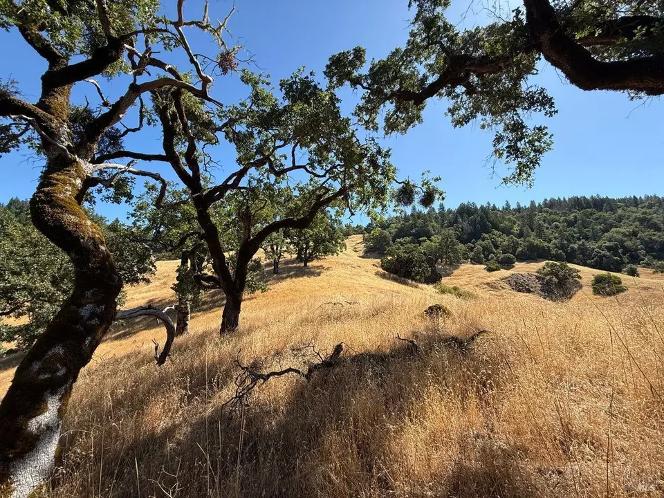  19401 Tomki Rd, Redwood Valley, CA 95470 photo 15