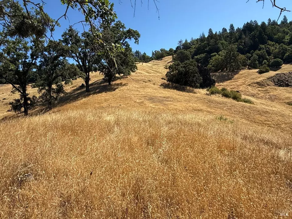  19401 Tomki Rd, Redwood Valley, CA 95470 photo 13