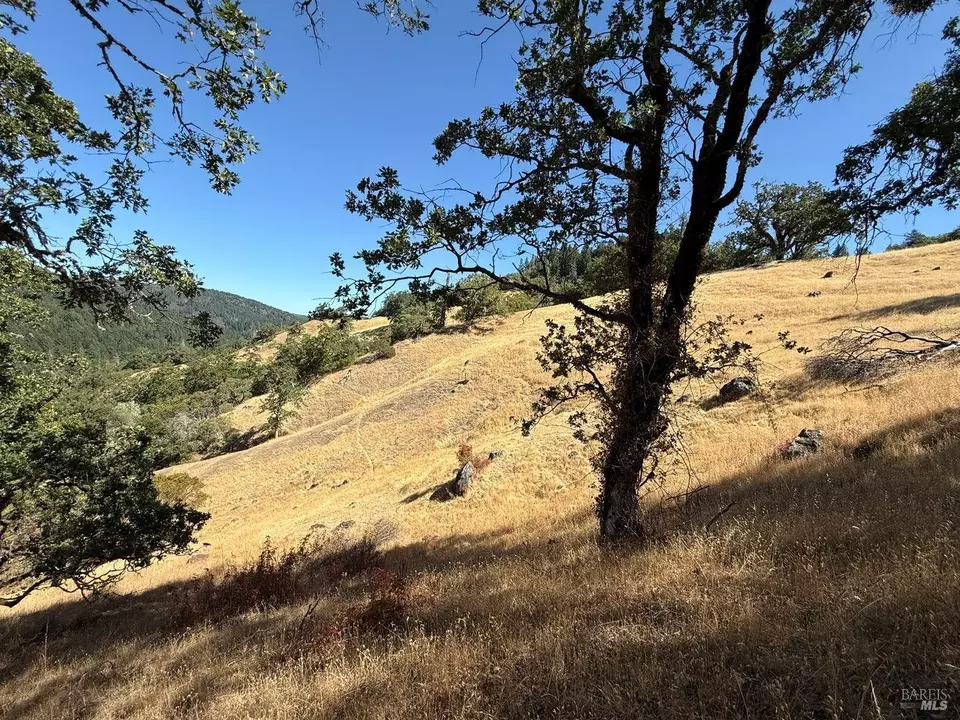  19401 Tomki Rd, Redwood Valley, CA 95470 photo 16