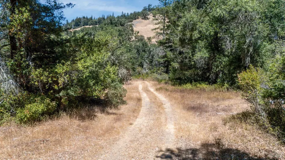  19401 Tomki Rd, Redwood Valley, CA 95470 photo 8
