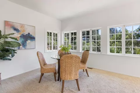 20 La Vuelta Ave, Lagunitas, CA 94938 photo 8