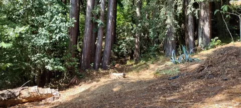 18355 Neeley Rd, Guerneville, CA 95446
