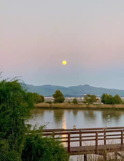 1576 Milton Rd, Napa, CA 94559 photo 22