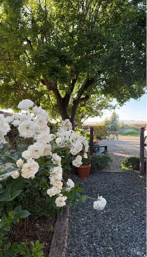 1576 Milton Rd, Napa, CA 94559 photo 46