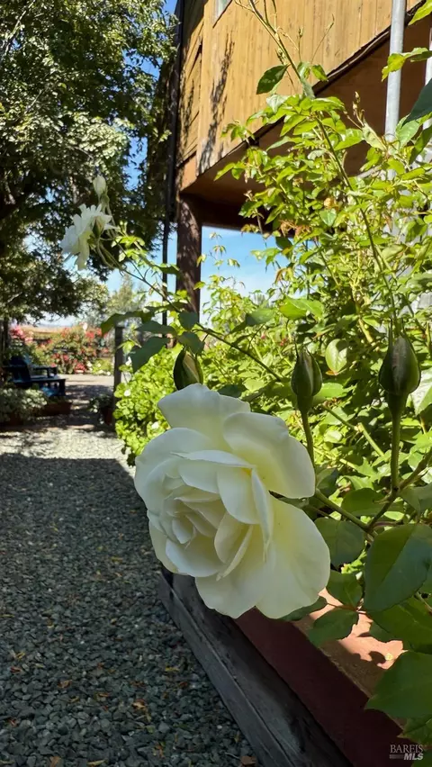 1576 Milton Rd, Napa, CA 94559 photo 37