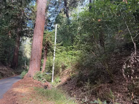 11714 Canyon Dr, Guerneville, CA 95446