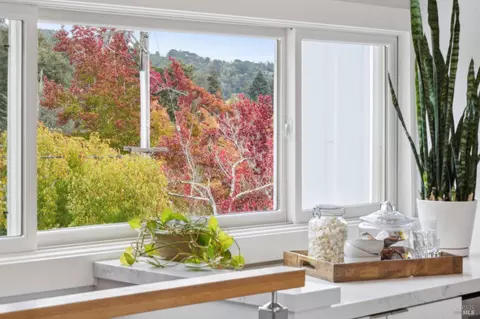 Other - 35 Bernard St, Mill Valley, CA 94941 photo 11 of 22