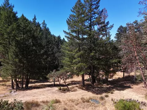 Exterior - 4101 Chinquapin Dr, Willits, CA 95490 photo 18 of 19