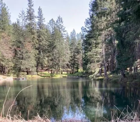 View/Area - 4101 Chinquapin Dr, Willits, CA 95490 photo 6 of 6