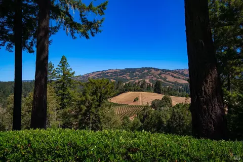 View/Area - 20205 Tumbling Mcd Rd, Philo, CA 95466 photo 1 of 5