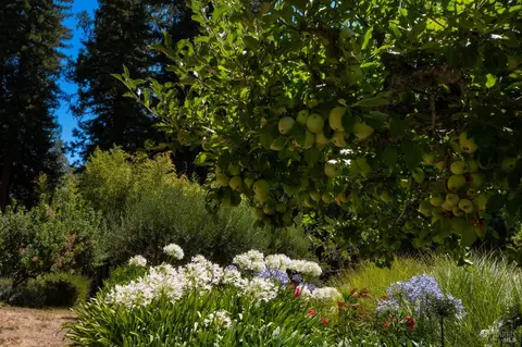 Exterior - 20205 Tumbling Mcd Rd, Philo, CA 95466 photo 35 of 37